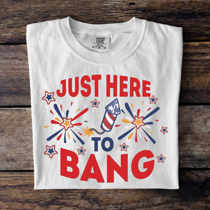 Just Here To Bang Women’s Tee-Shirt